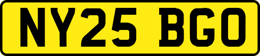 NY25BGO