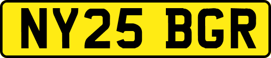 NY25BGR