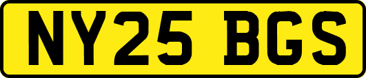 NY25BGS