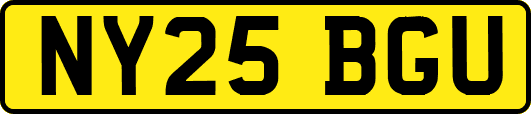 NY25BGU