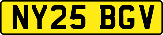 NY25BGV