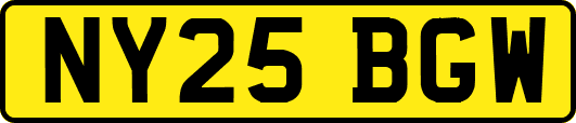 NY25BGW