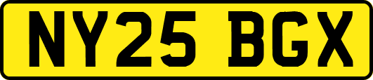 NY25BGX