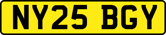 NY25BGY