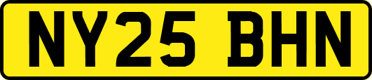 NY25BHN