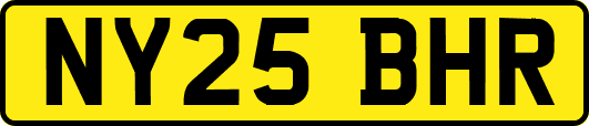 NY25BHR
