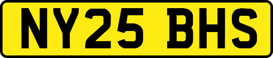 NY25BHS