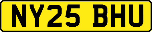 NY25BHU
