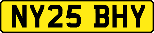 NY25BHY