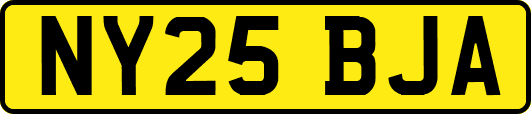 NY25BJA
