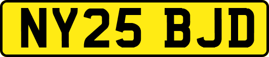 NY25BJD
