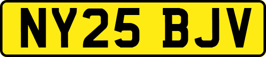 NY25BJV