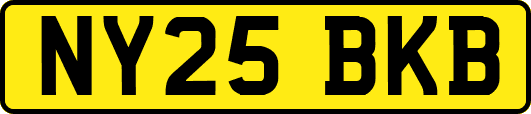 NY25BKB