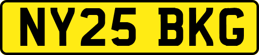 NY25BKG