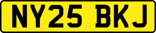 NY25BKJ