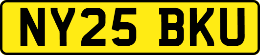 NY25BKU
