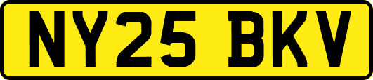 NY25BKV