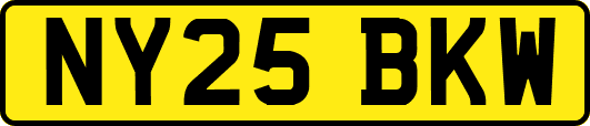 NY25BKW