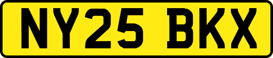 NY25BKX