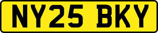 NY25BKY