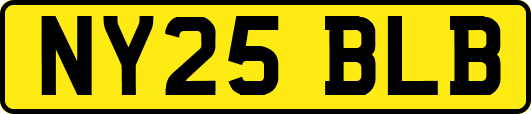NY25BLB