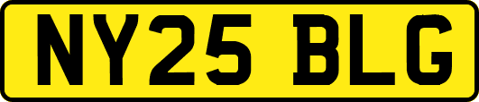 NY25BLG