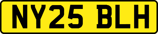 NY25BLH