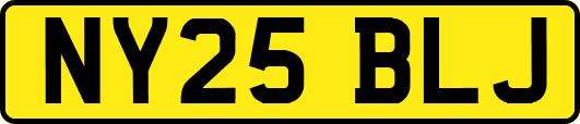 NY25BLJ