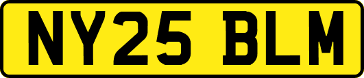 NY25BLM