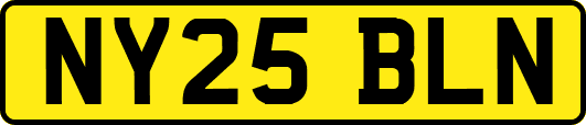 NY25BLN