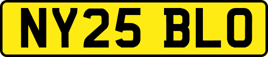 NY25BLO