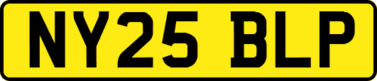 NY25BLP