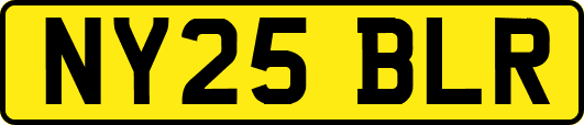 NY25BLR