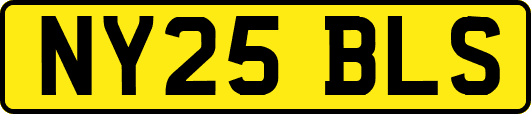 NY25BLS
