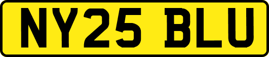 NY25BLU