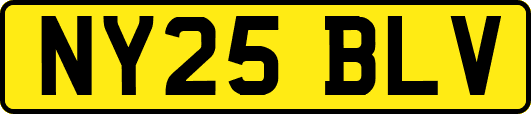 NY25BLV