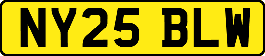NY25BLW