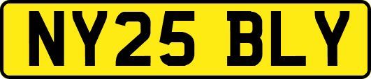 NY25BLY