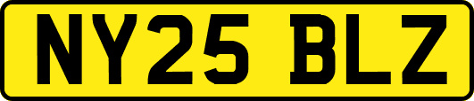 NY25BLZ