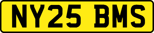 NY25BMS