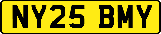 NY25BMY