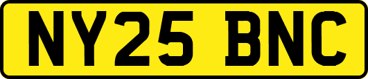 NY25BNC