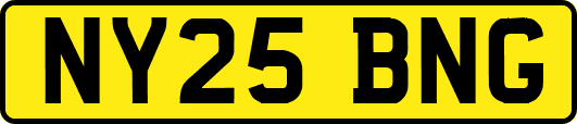 NY25BNG
