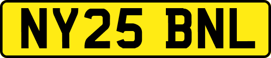 NY25BNL
