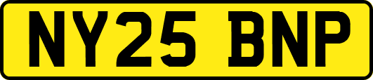 NY25BNP