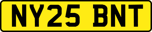 NY25BNT