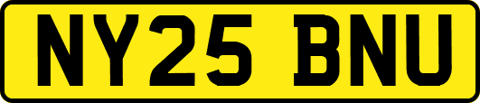 NY25BNU