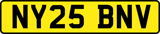 NY25BNV