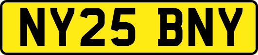 NY25BNY