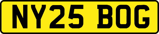 NY25BOG